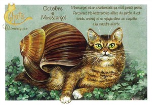 セブリーヌ 【 キャット ポストカード 】 Octobre Minescargot 10月 カタツムリ 猫 ネコ ねこ ハガキ