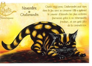 セブリーヌ 【 キャット ポストカード 】 Novembre Chalamandre 11月 イモリ 猫 ネコ ねこ ハガキ はがき