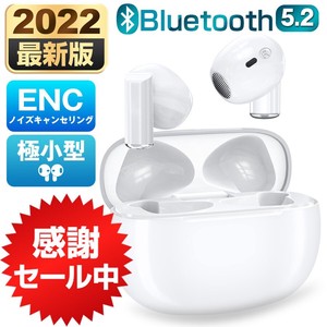2022新発売・極小型 ワイヤレスイヤホン Bluetooth 5.2 超小型 高音質 両耳 左右分離型 軽量 通話 防水