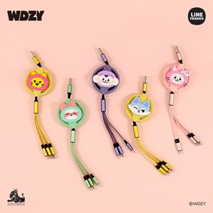 WDZY 3-in-1 Cable