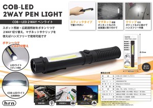 Security Light Penlight 2-way