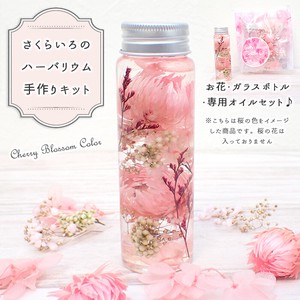 Object/Ornament Herbarium Pink Sakura Spring Made in Japan