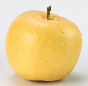 アップル（リンゴ）