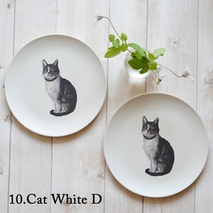 Main Plate Design White Cat Set of 2 20cm