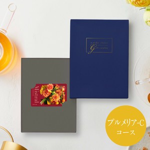ミストラル カードカタログ＜プルメリア−C＞6,800円コース