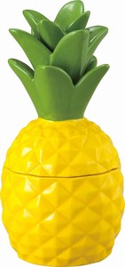 Storage Jar/Bag Pineapple
