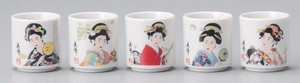 Mino Ware Plates Miyabi Japanese Sake Cup Set Mino Ware