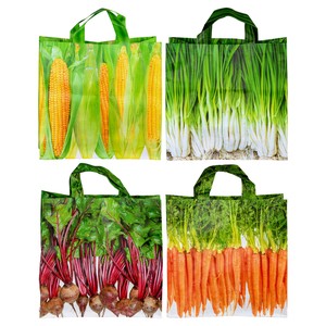 Reusable Grocery Bag Design Assortment