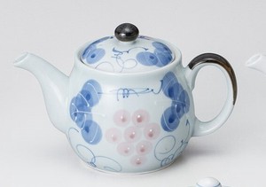 西式茶壶 有田烧 日本制造