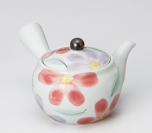 Flower Japanese Tea Pot Made in Japan Porcelain Arita Ware