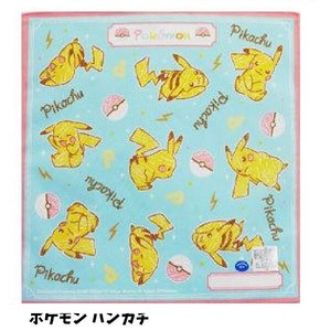Handkerchief Pokemon