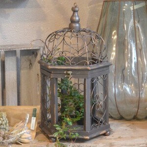 Garden Accessories Garden Flower