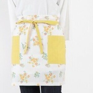 Apron
