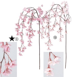 しだれ桜×182　つぼみ×3