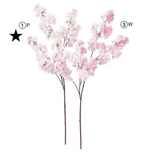 桜×448　つぼみ×12