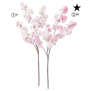 桜×448　つぼみ×12