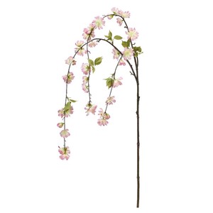 しだれ桜×38