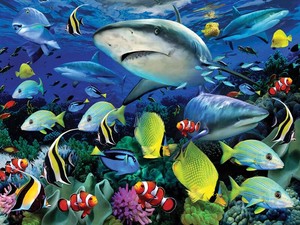 【ジグソーパズル】3Dパズル500ピース　ハワード・ロビンソン　サメの海