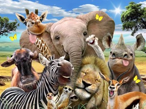 【ジグソーパズル】3Dパズル500ピース　ハワード・ロビンソン　アフリカの動物たちの自撮り写真