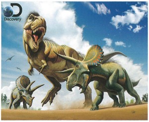 【ジグソーパズル】3Dパズル500ピース　ディスカバリー ティラノサウルスVSトリケラトプス