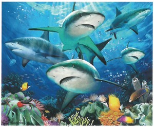 【ジグソーパズル】3Dパズル150ピース　ハワード・ロビンソン　サンゴ礁のサメ