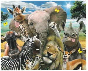 【ジグソーパズル】3Dパズル63ピース　ハワード・ロビンソン　アフリカの動物たちの自撮り写真