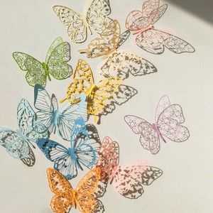 Die Cut Paper Butterfly Series