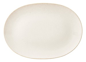 Mino ware Main Plate L size