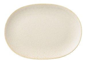Mino ware Main Plate sliver 21.5cm