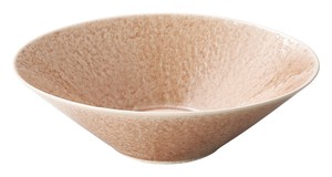 Mino ware Main Dish Bowl L size