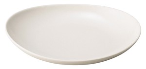 Mino ware Main Plate 22cm