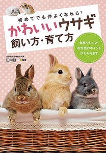 かわいいウサギ　飼い方・育て方　ペット／アニマルグッズ