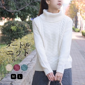Sweater/Knitwear Knitted Long Sleeves High-Neck Cowl Neck Turtle Neck Ladies'