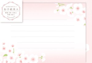 Furukawa Shiko Writing Paper Letter Beauty