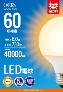 LED電球　G　E26　6W　電球色