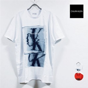 Calvin Klein Jeans カルバンクライン ジーンズ blurred logo crewneck 半袖 Tシャツ 40JM859 メンズ