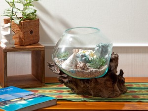 Natural Wood Glass Size M Fishbowl Interior