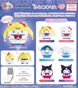 6 Pcs BOX Set Sanrio Sailor Moon Reserved items 12 13