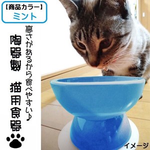 【スケーター】陶器製 猫用食器　ミント（ブルー）／CHOB4_536328
