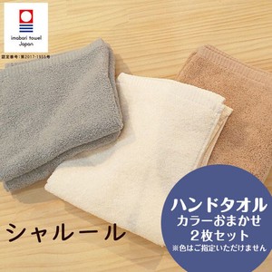 CHALEUR Hand Towel Set 2 Pcs White Brand Use