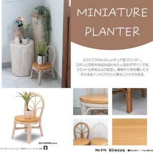 プランター チェア型 ラタン 籐 天然木 パイン インテリア 飾る用 花台