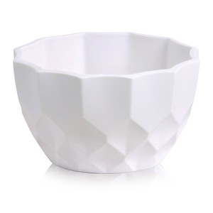 Pot/Planter White Flower Vase