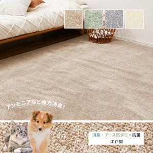 地毯 透明 日本制造
