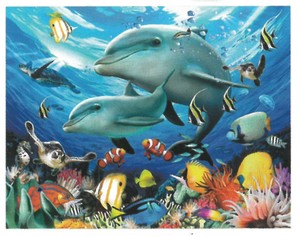 【海の生き物】3Dポスター　ハワードロビンソン　イルカの遊び　28517
