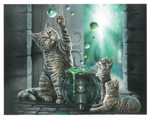【動物】3Dポスター　ハワードロビンソン　水玉で遊ぶ猫　28588