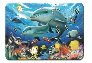 【海の生き物】3Dマグネット　ハワードロビンソン　遊ぶイルカ　18823