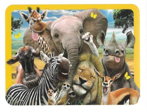 【動物】3Dランチョンマット　ハワードロビンソン　アフリカの動物たちの自撮り写真　40119