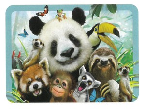 【動物】3Dランチョンマット　ハワードロビンソン　動物園の仲間の自撮り写真　40109