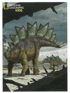 【ジグソーパズル】3Dパズル150ピース　ナショナルジオグラフィック　ステゴサウルス　10811