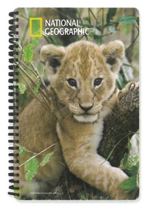 【動物】3Dノート（A5サイズ）　ナショナルジオグラフィック　アフリカライオンの子供　18057